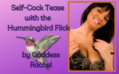 Self-Cock Tease with the Hummingbird Flick